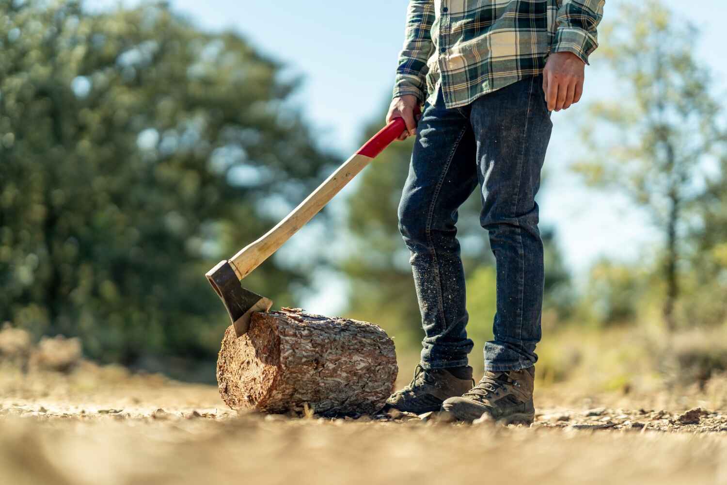 Best Tree Branch Trimming  in Mcgregor, FL